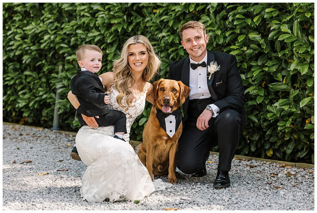 dogs at weddings. wedding photos with pets